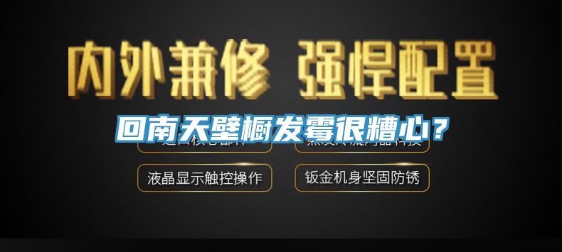 回南天壁橱发霉很糟心？