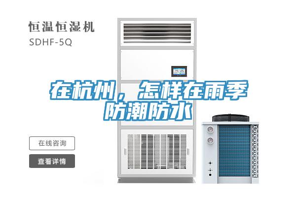 在杭州，怎样在雨季防潮防水