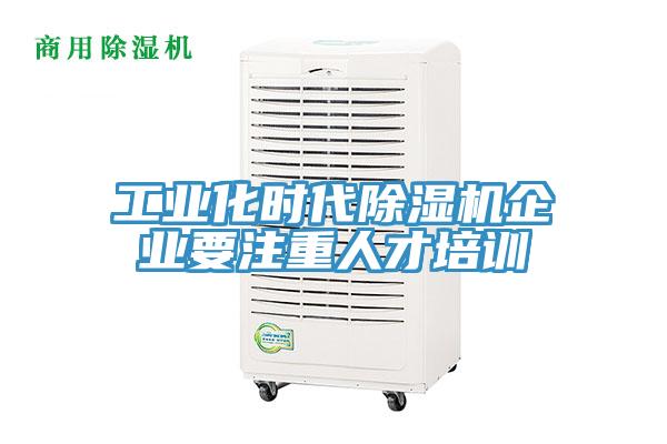 工业化时代粉色应用黄色软件企业要注重人才培训