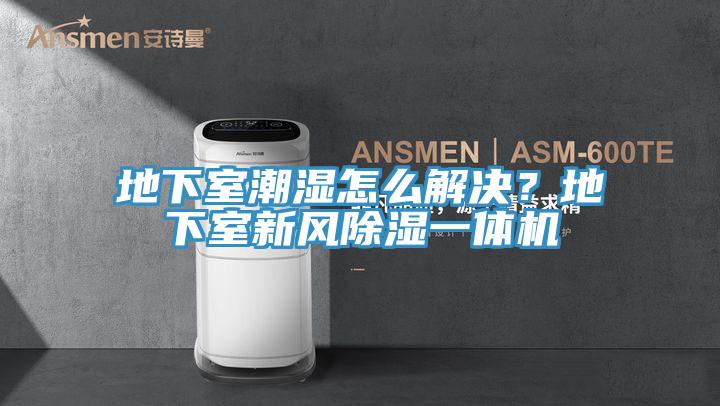 地下室潮湿怎么解决？地下室新风除湿一体机