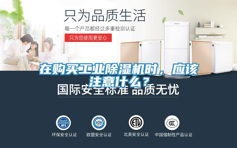 在购买工业粉色应用黄色软件时，应该注意什么？