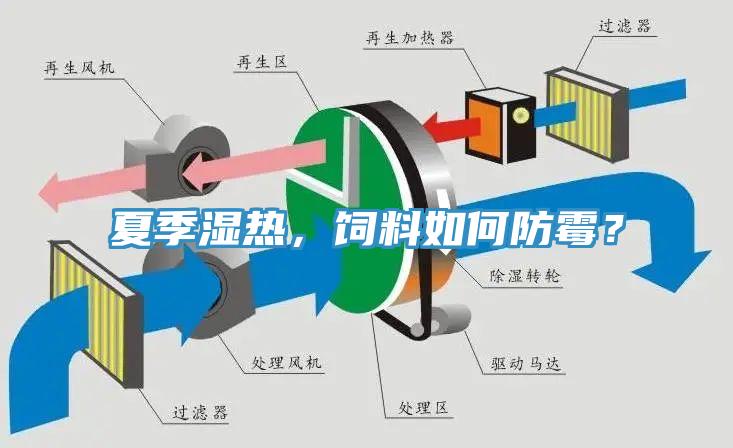 夏季湿热，饲料如何防霉？