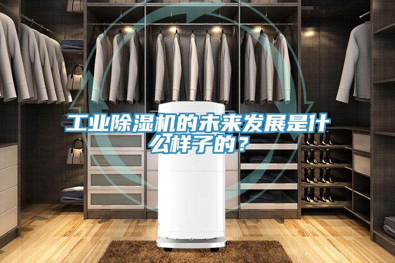 工业粉色应用黄色软件的未来发展是什么样子的？