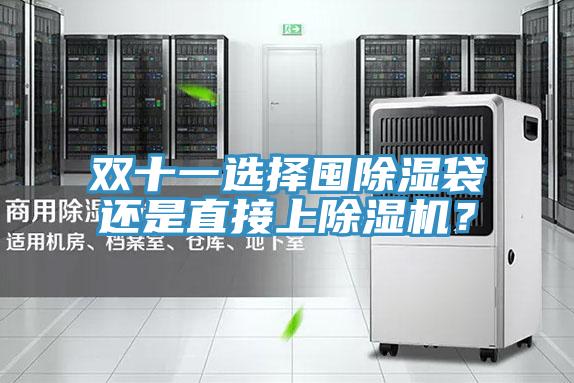 双十一选择囤除湿袋还是直接上粉色应用黄色软件？