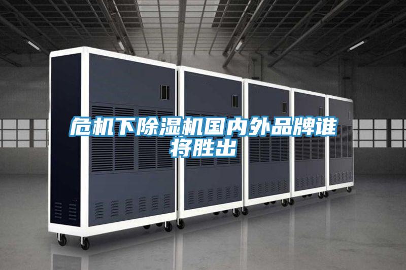 危机下粉色应用黄色软件国内外品牌谁将胜出