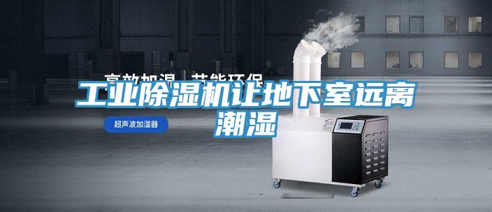 工业粉色应用黄色软件让地下室远离潮湿