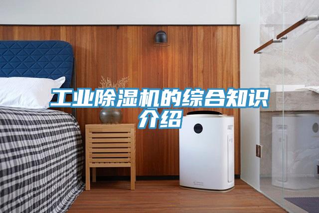 工业粉色应用黄色软件的综合知识介绍