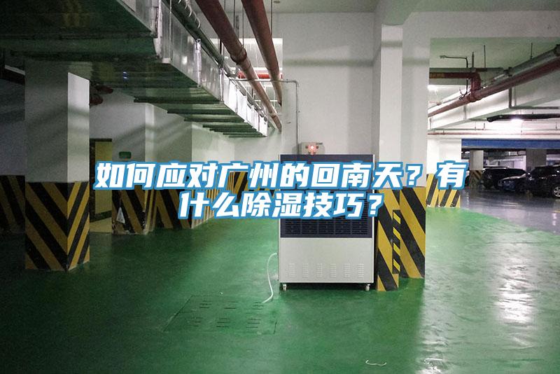 如何应对广州的回南天？有什么除湿技巧？