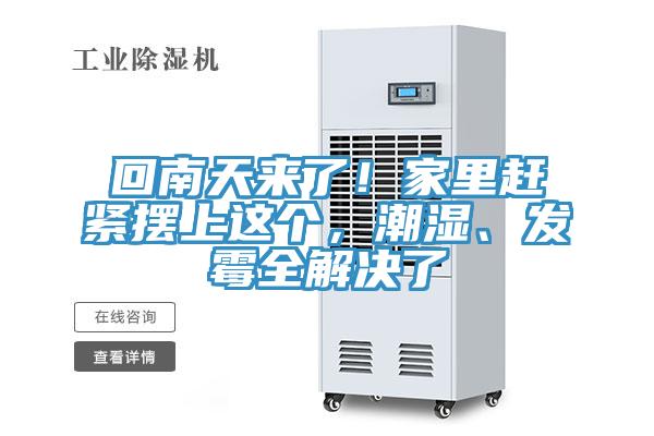 回南天来了！家里赶紧摆上这个，潮湿、发霉全解决了
