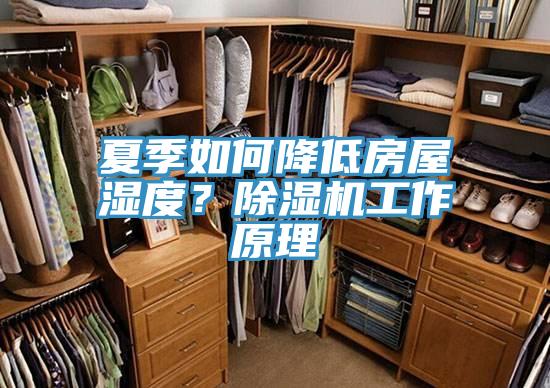 夏季如何降低房屋湿度？粉色应用黄色软件工作原理