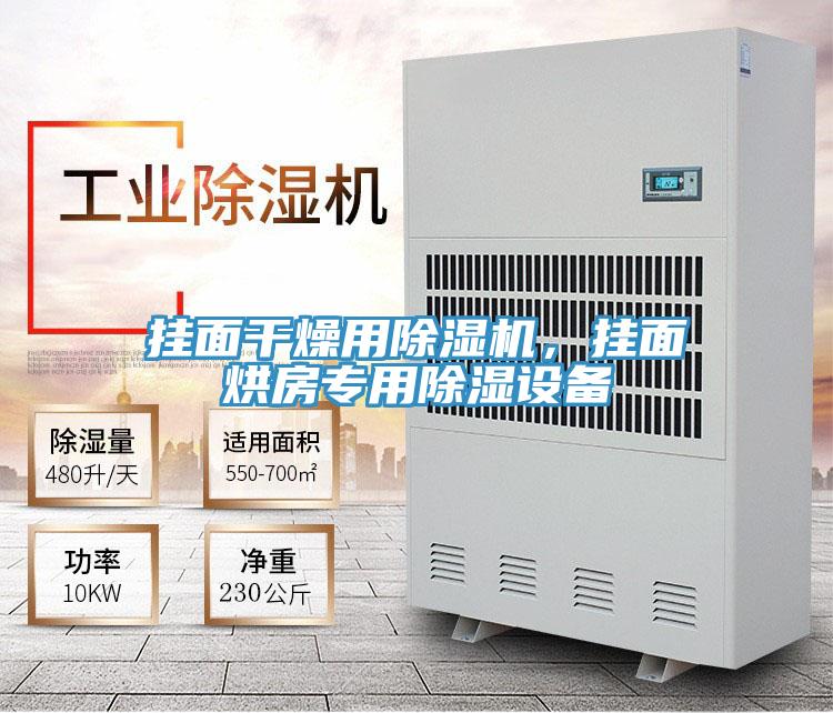 挂面干燥用粉色应用黄色软件，挂面烘房专用除湿设备