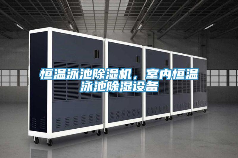 恒温泳池粉色应用黄色软件，室内恒温泳池除湿设备