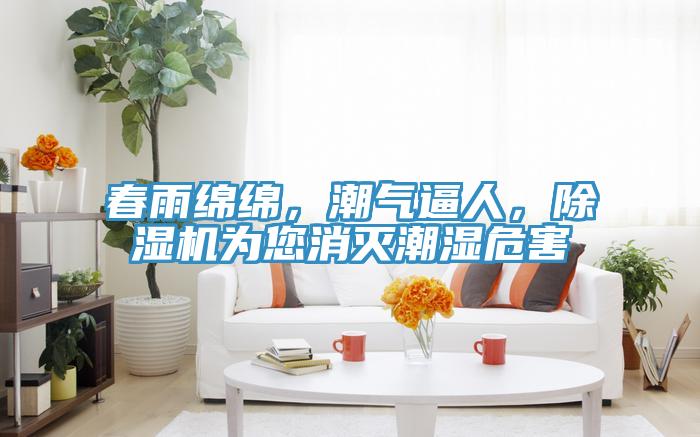 春雨绵绵，潮气逼人，粉色应用黄色软件为您消灭潮湿危害