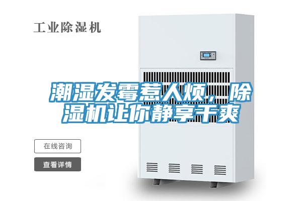 潮湿发霉惹人烦，粉色应用黄色软件让你静享干爽