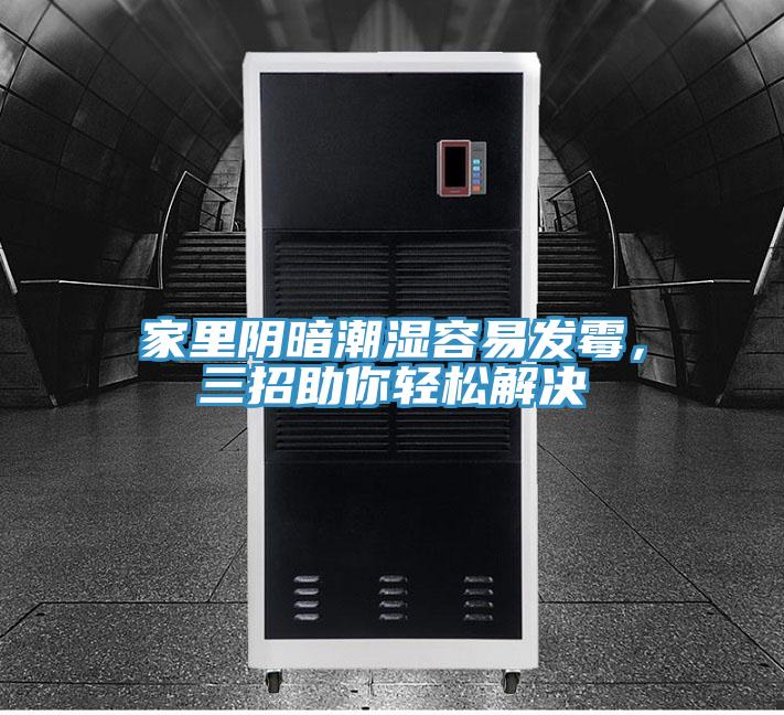 家里阴暗潮湿容易发霉，三招助你轻松解决