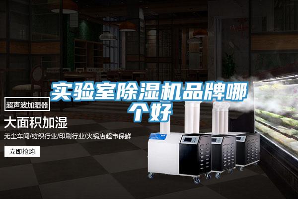 实验室粉色应用黄色软件品牌哪个好