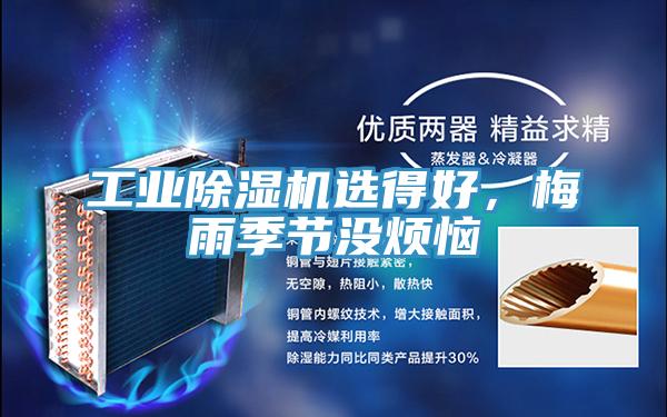 工业粉色应用黄色软件选得好，梅雨季节没烦恼