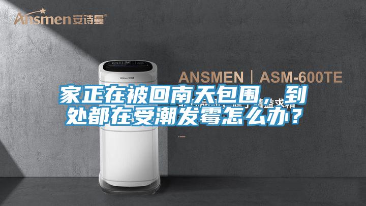 家正在被回南天包围，到处都在受潮发霉怎么办？