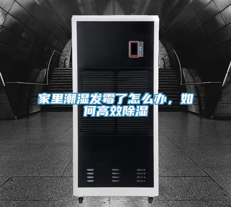 家里潮湿发霉了怎么办，如何高效除湿