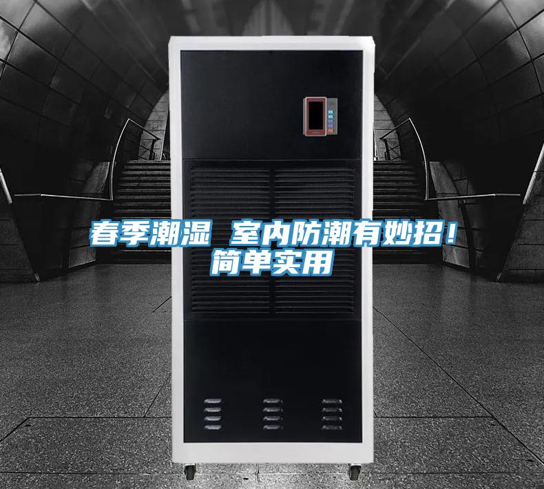 春季潮湿 室内防潮有妙招！简单实用