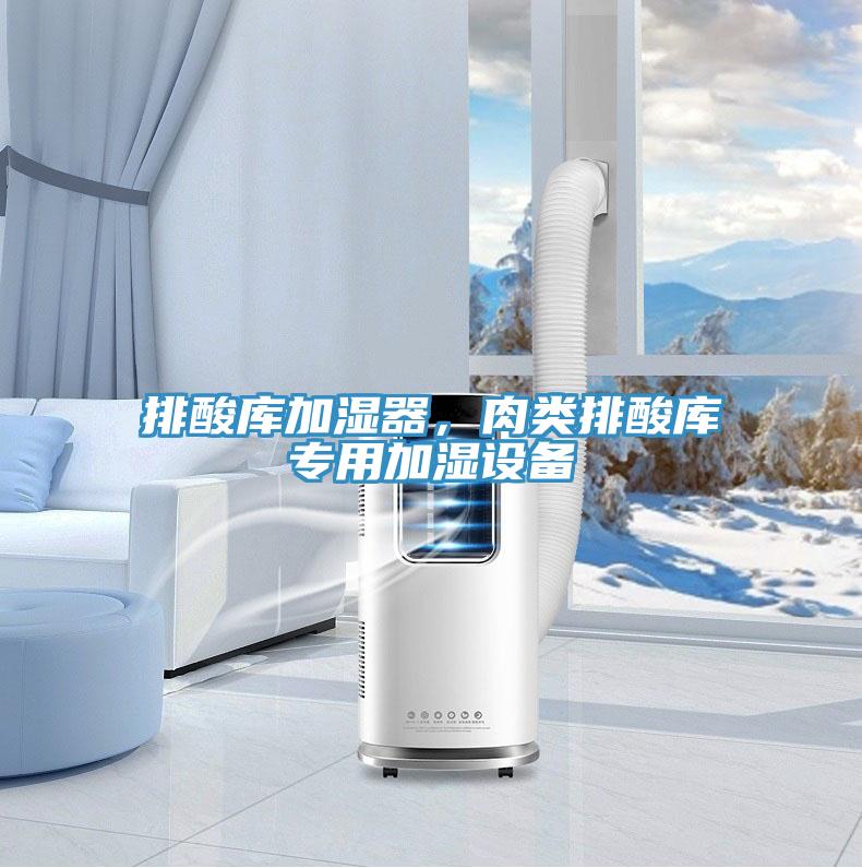 排酸库加湿器，肉类排酸库专用加湿设备