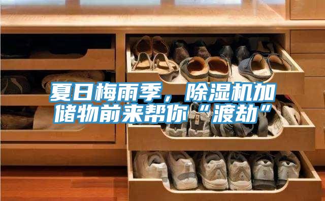 夏日梅雨季，粉色应用黄色软件加储物前来帮你“渡劫”