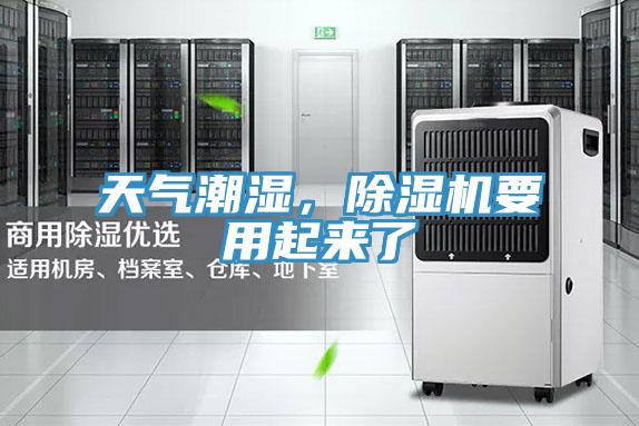 天气潮湿，粉色应用黄色软件要用起来了