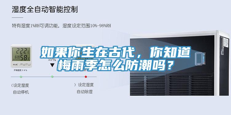 如果你生在古代，你知道梅雨季怎么防潮吗？