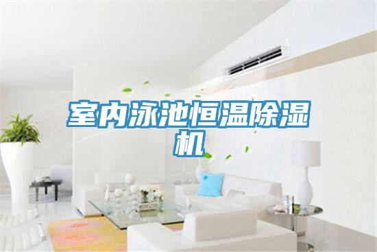 室内泳池恒温粉色应用黄色软件