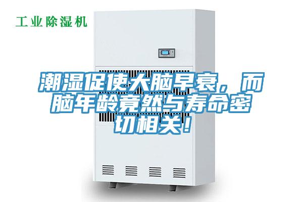 潮湿促使大脑早衰，而脑年龄竟然与寿命密切相关！