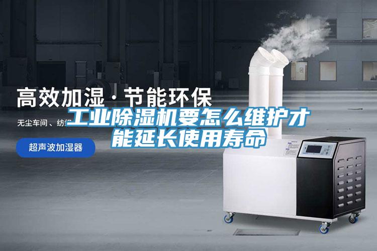 工业粉色应用黄色软件要怎么维护才能延长使用寿命