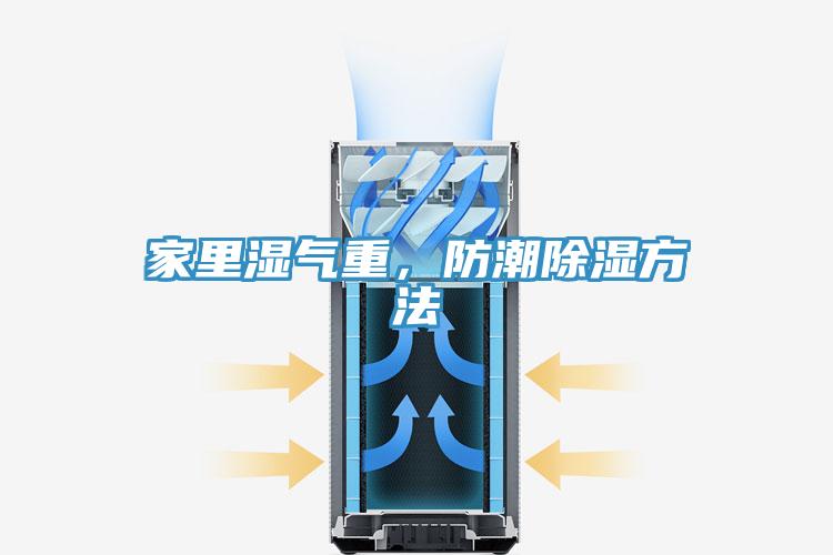 家里湿气重，防潮除湿方法