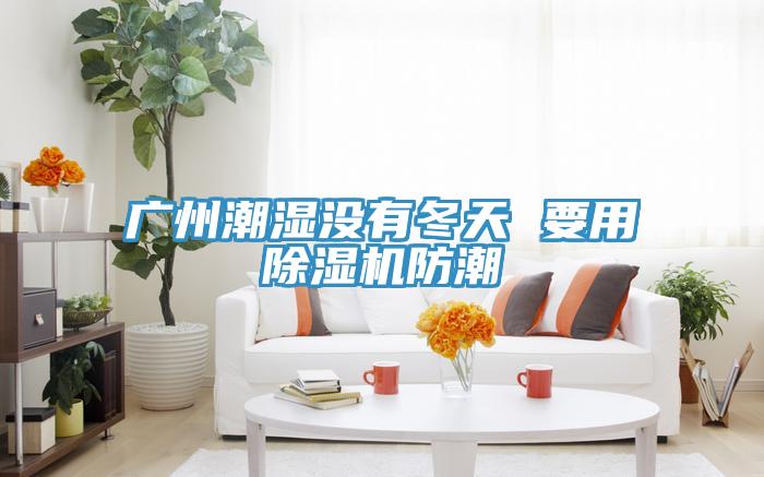 广州潮湿没有冬天 要用粉色应用黄色软件防潮