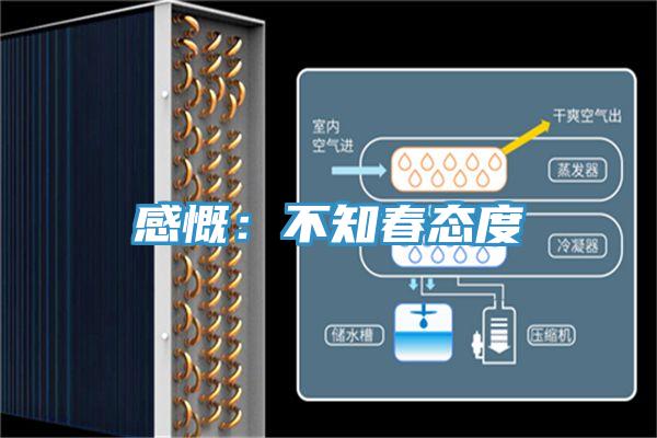 感慨：不知春态度