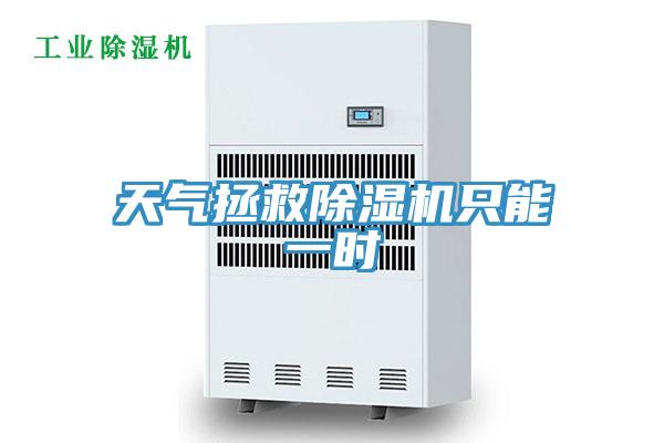 天气拯救粉色应用黄色软件只能一时