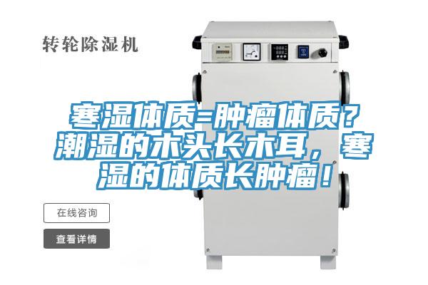 寒湿体质=肿瘤体质？潮湿的木头长木耳，寒湿的体质长肿瘤！