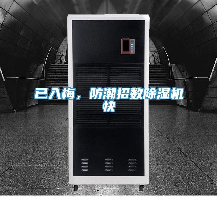 已入梅，防潮招数粉色应用黄色软件快