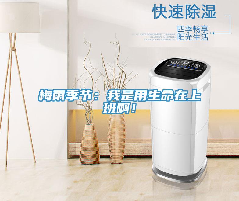 梅雨季节：我是用生命在上班啊！