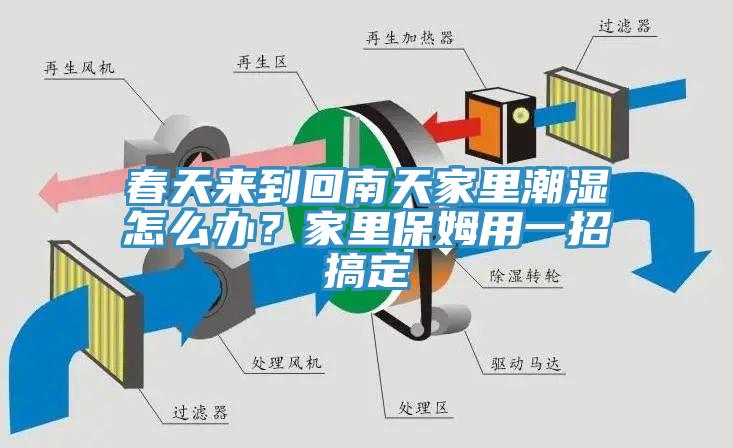 春天来到回南天家里潮湿怎么办？家里保姆用一招搞定