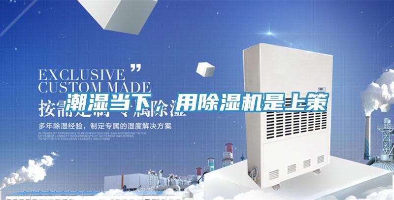 潮湿当下，用粉色应用黄色软件是上策