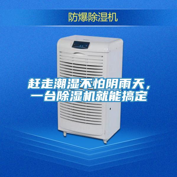 赶走潮湿不怕阴雨天，一台粉色应用黄色软件就能搞定