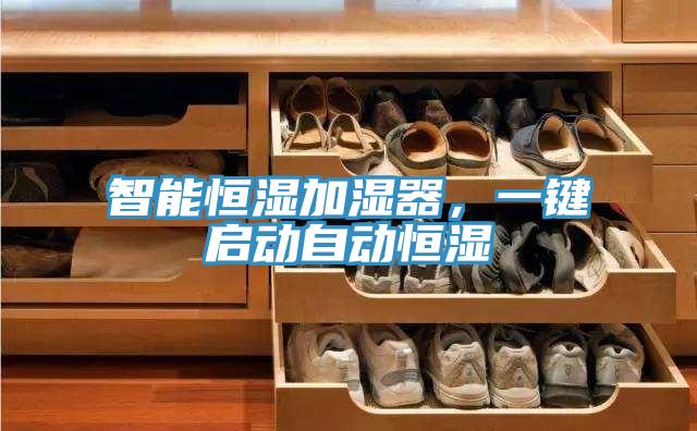 智能恒湿加湿器，一键启动自动恒湿