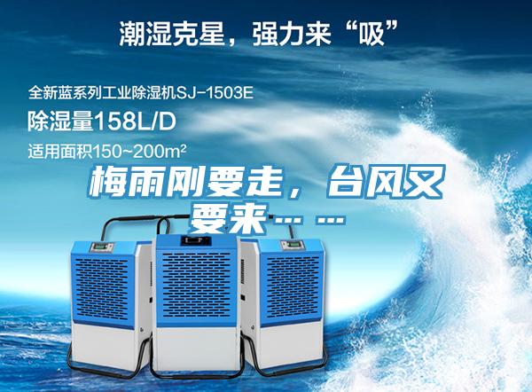 梅雨刚要走，台风又要来……