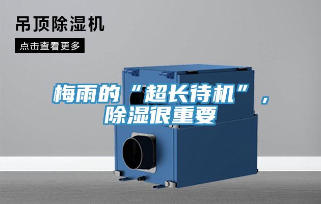 梅雨的“超长待机”，除湿很重要