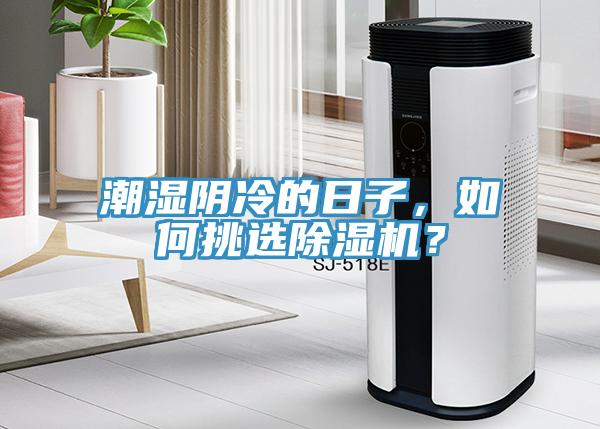 潮湿阴冷的日子，如何挑选粉色应用黄色软件？