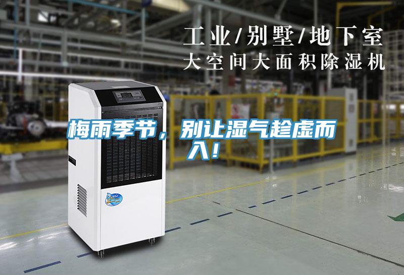 梅雨季节，别让湿气趁虚而入！