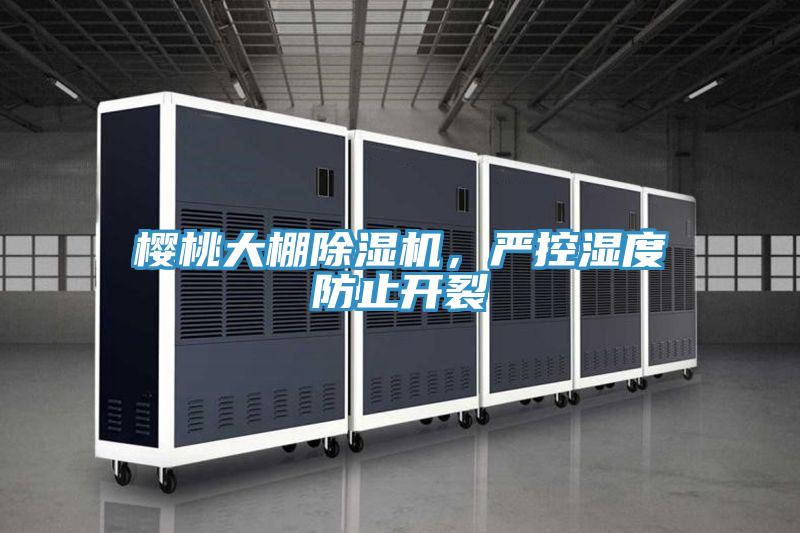 樱桃大棚粉色应用黄色软件，严控湿度防止开裂