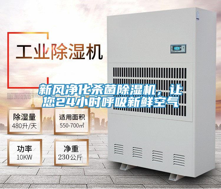 新风净化杀菌粉色应用黄色软件，让您24小时呼吸新鲜空气