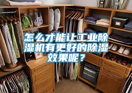 怎么才能让工业粉色应用黄色软件有更好的除湿效果呢？