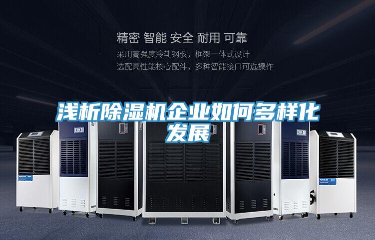 浅析粉色应用黄色软件企业如何多样化发展